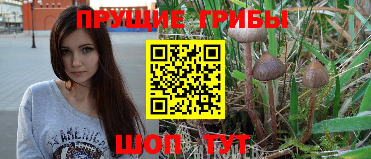 Обнинск  Псилоцибиновые грибы Cubensis  Вход с VPN  Псилоцибиновые грибы MAGIC MUSHROOMS 