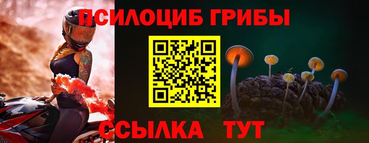 Псилоцибиновые грибы мицелий Обнинск