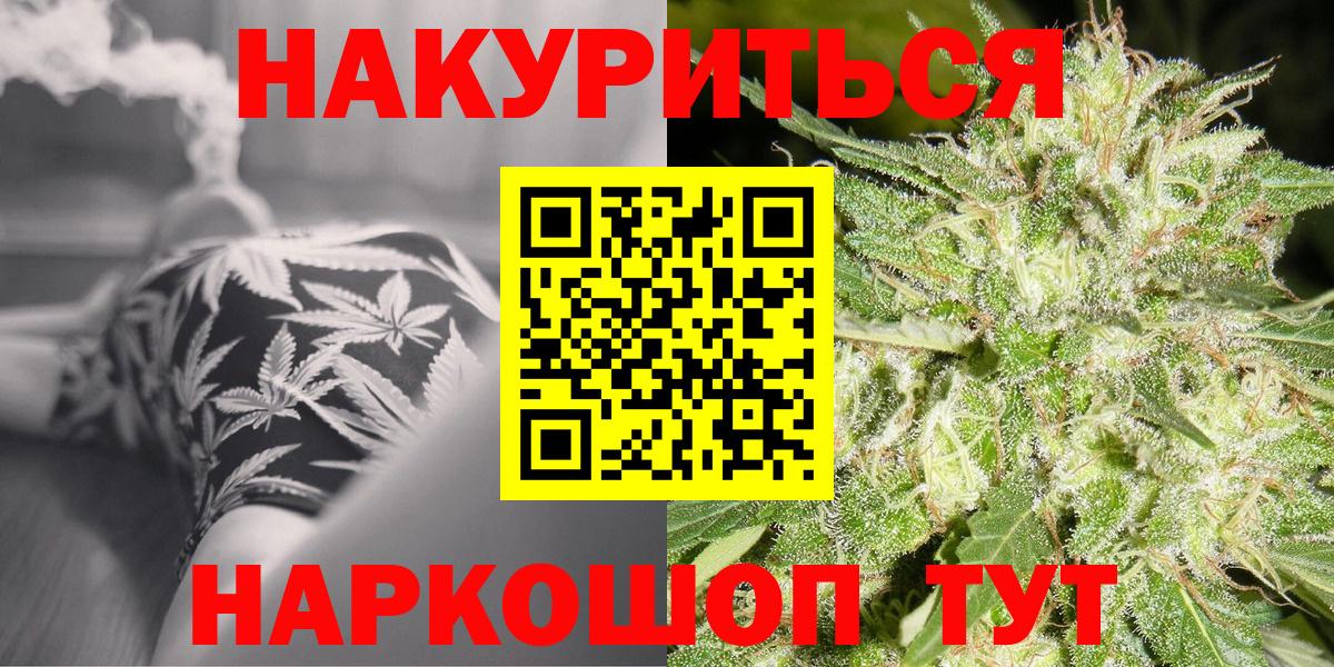 Каннабис сатива Обнинск
